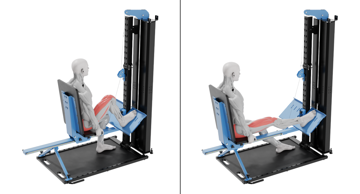 1-Leg Leg Press 1-Leg Leg Press